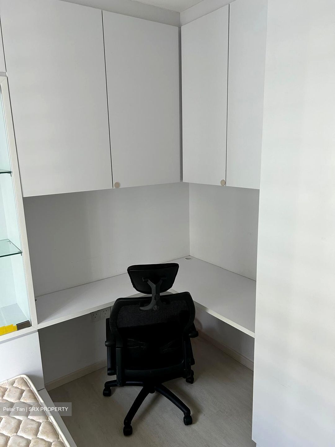 Blk 39A Skyoasis @ Dawson (Queenstown), HDB 4 Rooms #539514611